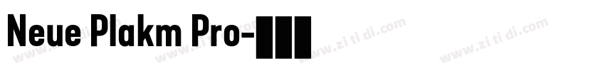 Neue Plakm Pro字体转换